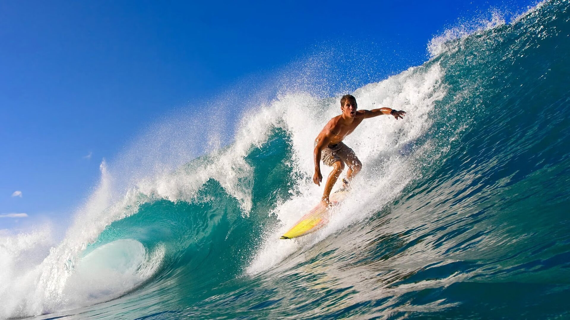 体育慈善盛典圆满落幕 明星运动员携手助力公益事业