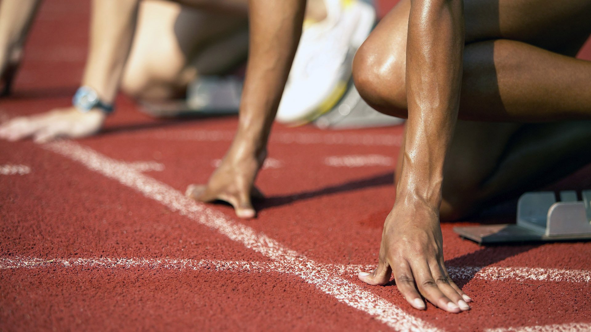 中国跳水队再创辉煌，包揽世界杯三金