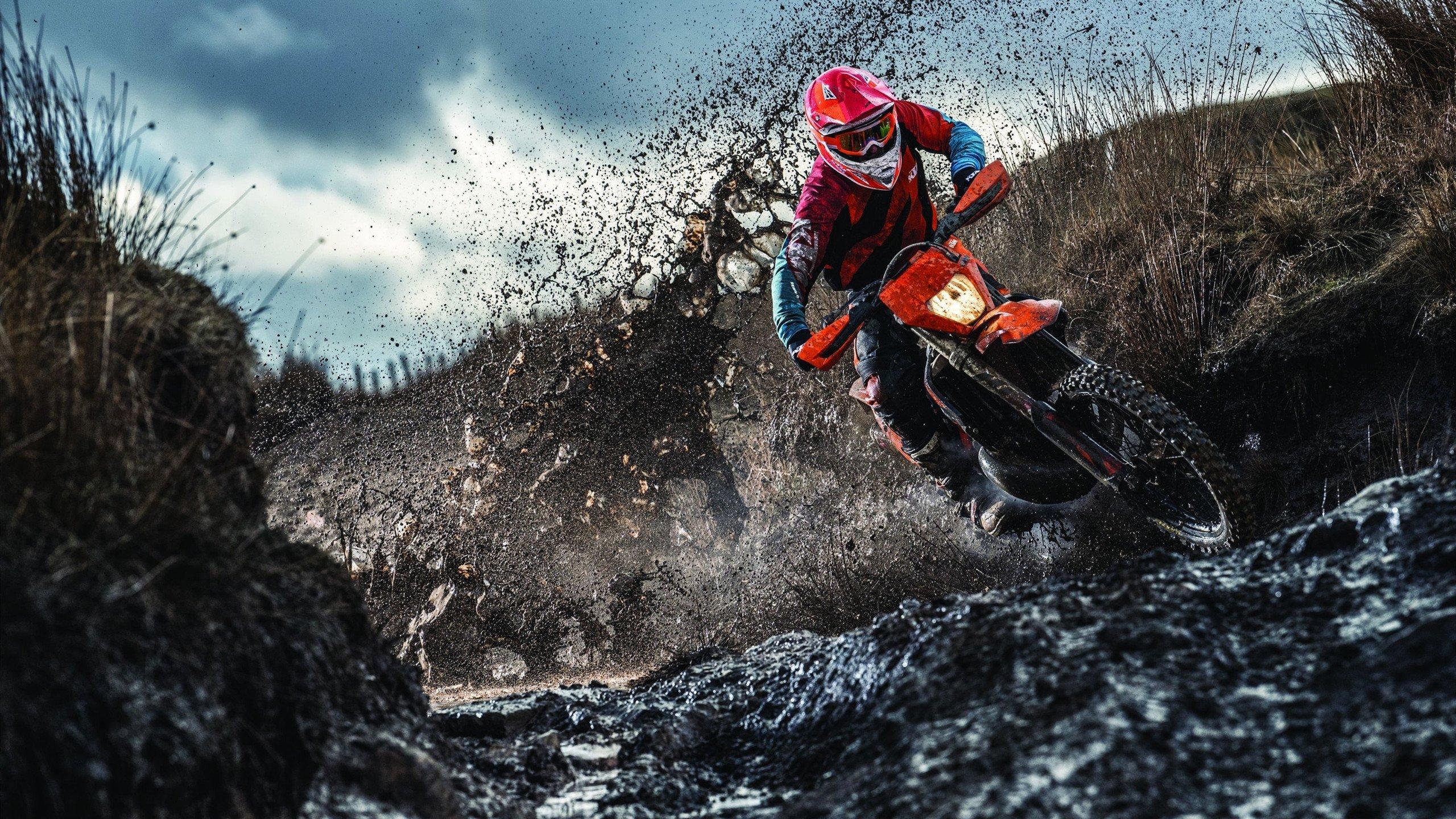 怒火之拳代价沉重 武什科维奇捶柱骨折恐赛季报销